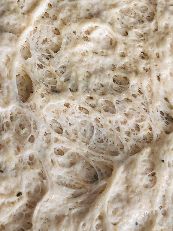 Close-up of airy Earth Origin sourdough dough texture