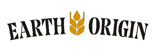 Earth Origin